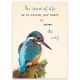 Wenskaart met een afbeelding van de kleurrijke ijsvogel en de tekst; The secret of life is to follow your heart it knows the way.